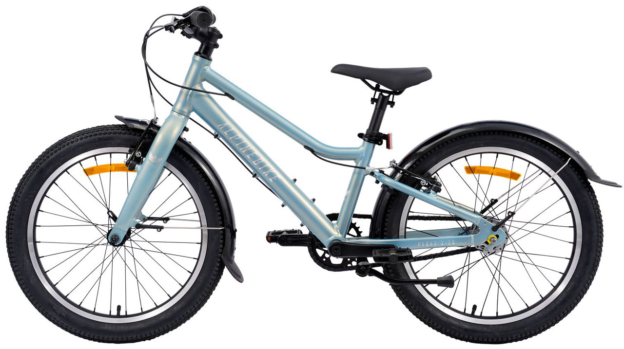 Купить ALPINEBIKE Pegas 3-20 2026