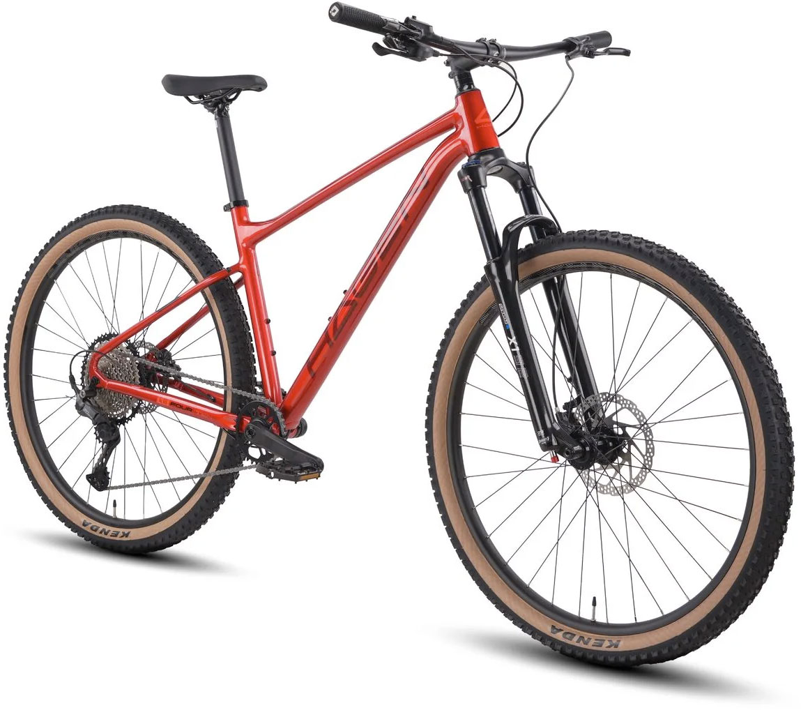 Купить HAGEN 4.10 27.5 2025