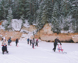 Что Вы знаете о финских санях?